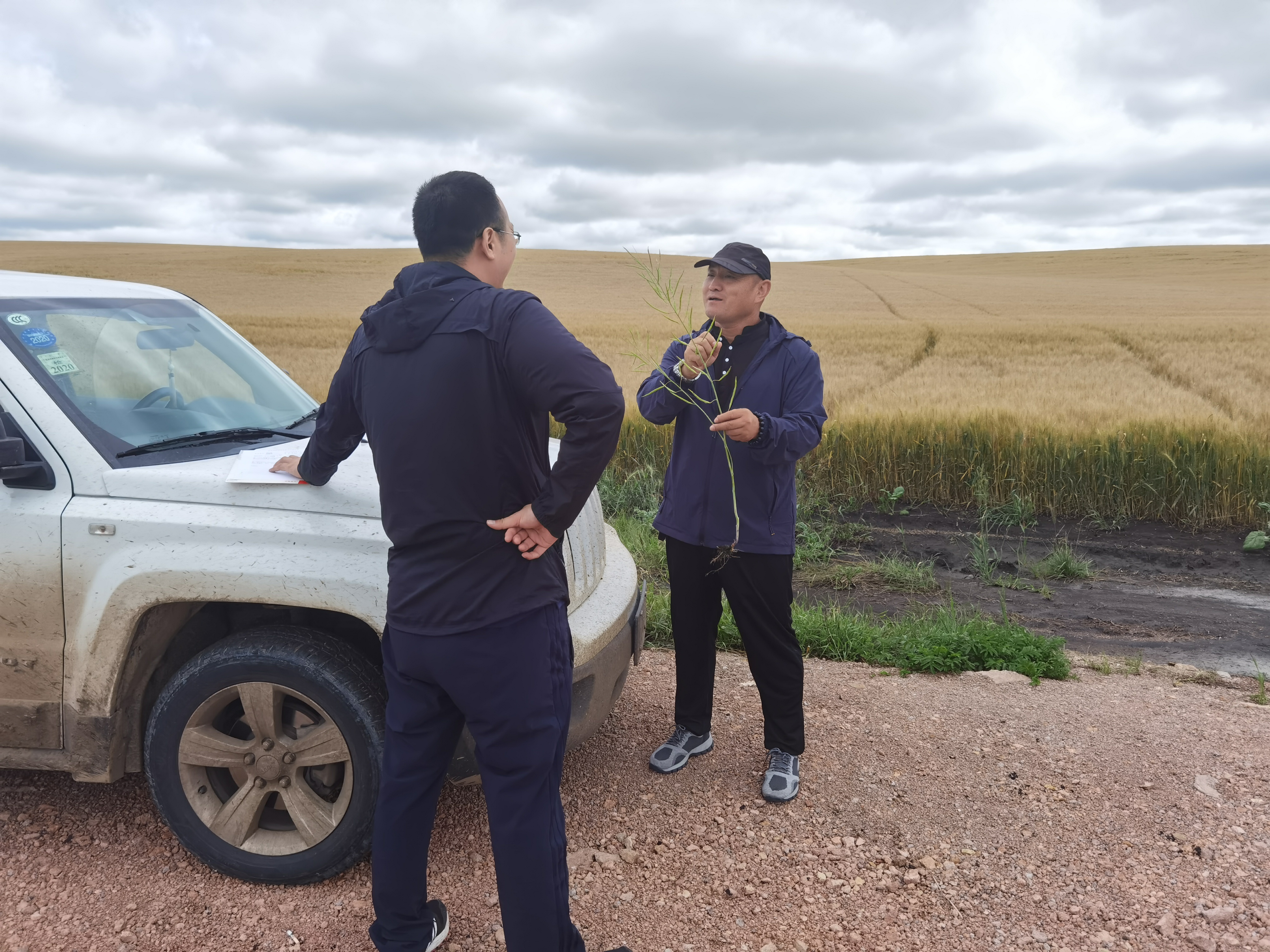 作物长势监测02