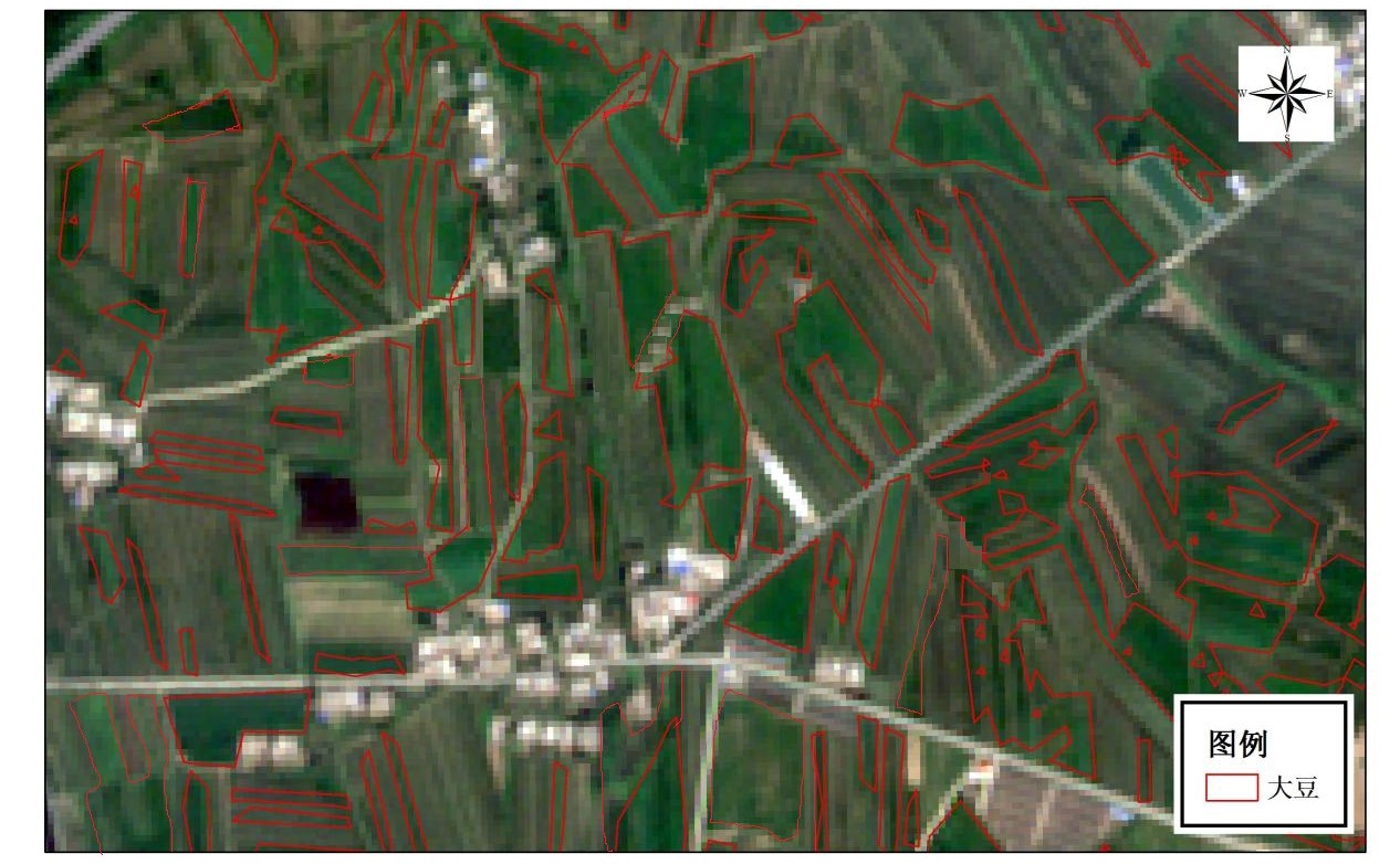2019年某市农业保险大豆种植面积遥感监测