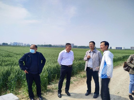 2020年7月安徽省农业厅领导亲临观摩指导工作